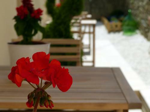 Bed And Breakfast Il Castagno