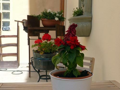 Bed And Breakfast Il Castagno