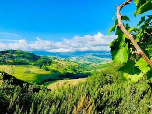 Agroturismo Agriturismo Borgo Del Ginepro