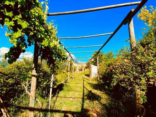 Agroturismo Agriturismo Borgo Del Ginepro