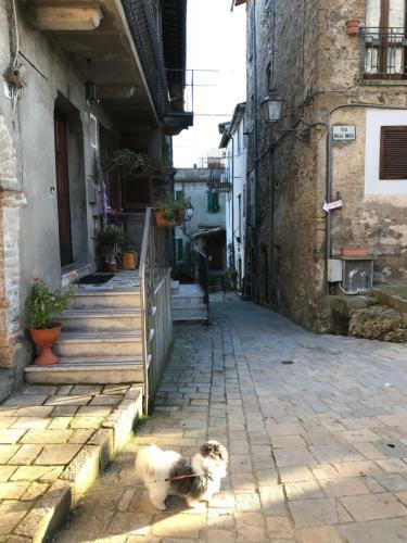 Apartamento Casa Vacanza Gianna