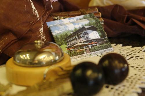 Hotel Pineta