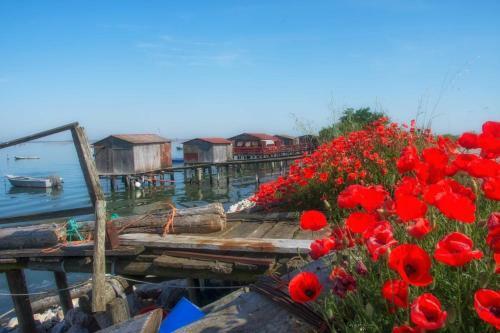 Bed & Breakfast La Zia Acida