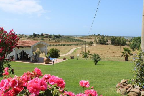 Agroturismo Agriturismo Il Montoto
