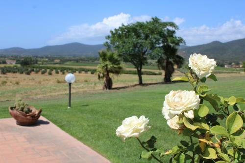 Agroturismo Agriturismo Il Montoto