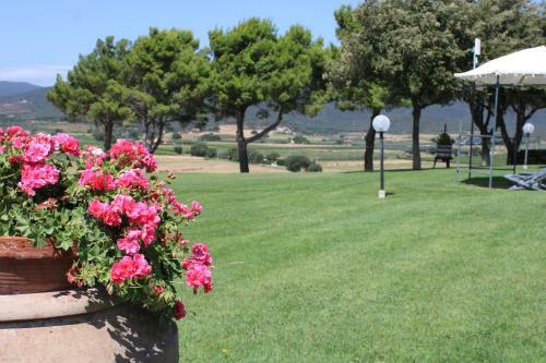 Agroturismo Agriturismo Il Montoto