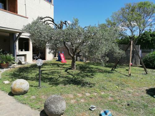 Apartamento Appartamento Ad 1,2 Km Dal Mare