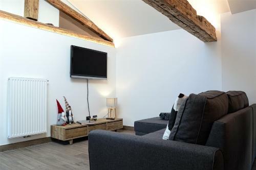 Apartment El Molin - Alpe Cermis Dolomites
