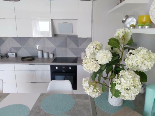 Apartament Manhattan Os.jarz?binowe