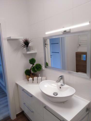 Apartament Manhattan Os.jarz?binowe