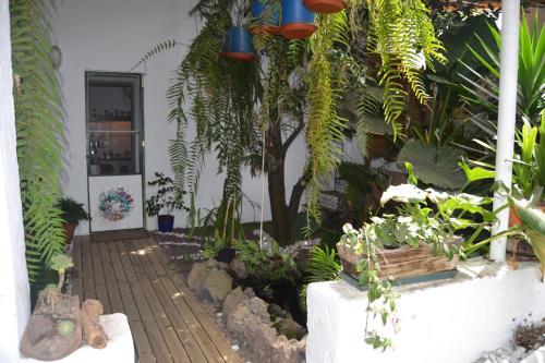 Hostal Espacio Antares