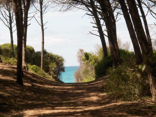 Apartamento Toscana D'amare