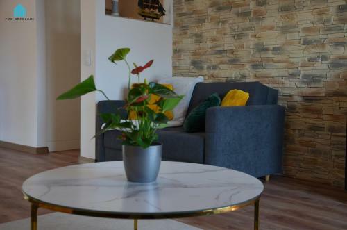 Pod Brzozami Apartamenty Summer Lofts
