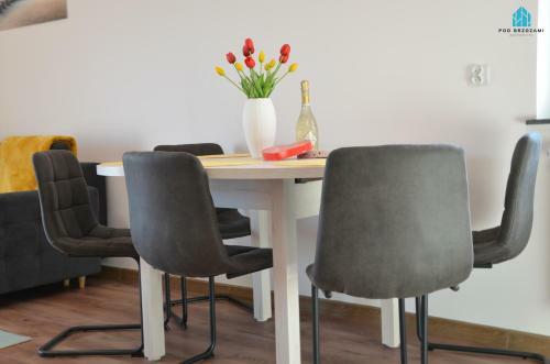 Pod Brzozami Apartamenty Summer Lofts