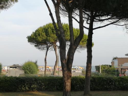 Apartamento Appartamento Costantini