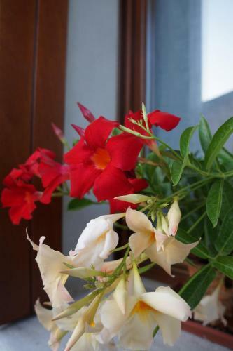 Hostal La Brigata Apartments Suite Room