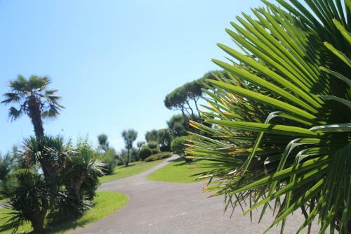Sunny Terrace Apartament