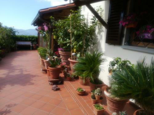 Apartamento Il Giardino Delle Rose