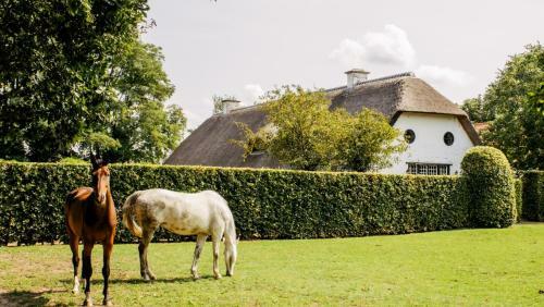 Bed & Breakfast Truyenhof
