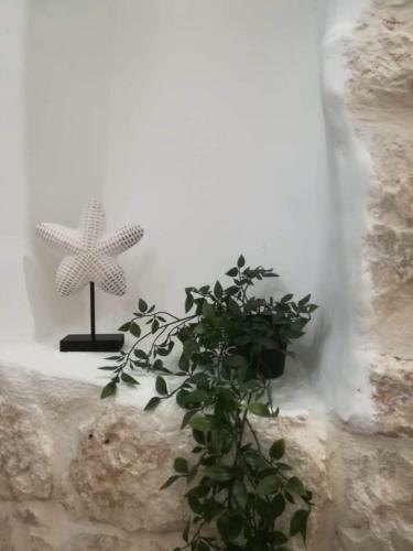 Apartamento Sabbia & Cactus Houses