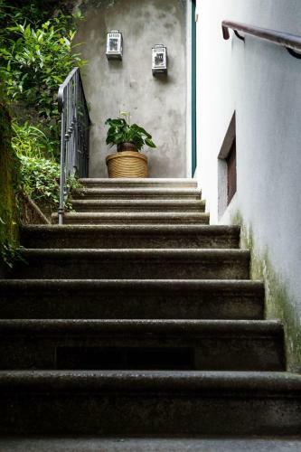 Little Garden House