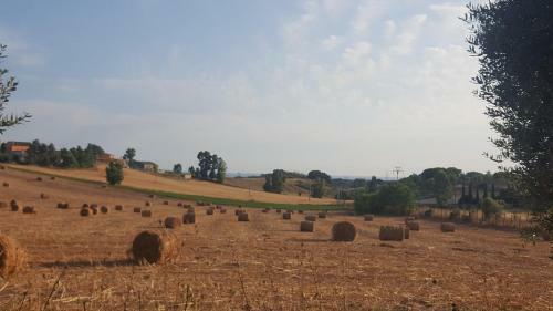 Le Casette In Collina