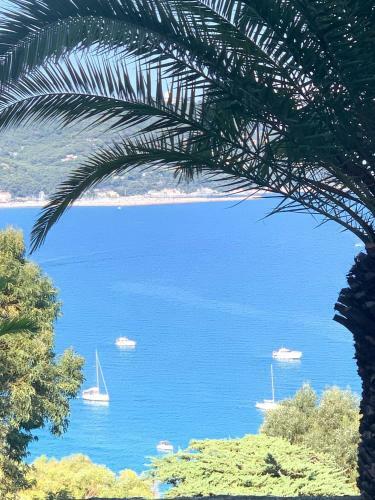 Apartamento Bellissima Cervo