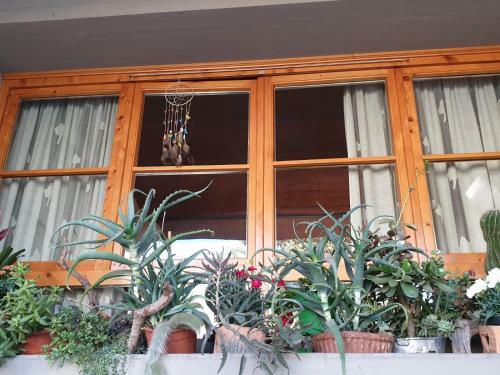 Apartamento Da Giovanni E Marcella