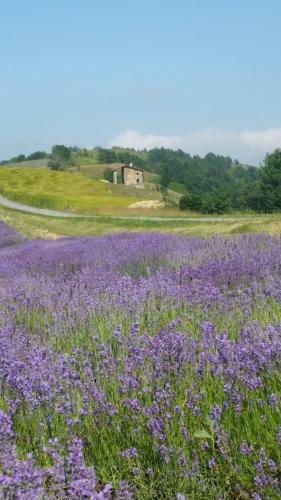 Bed & Breakfast Residenza Anastasia Appartamento ?alloro?