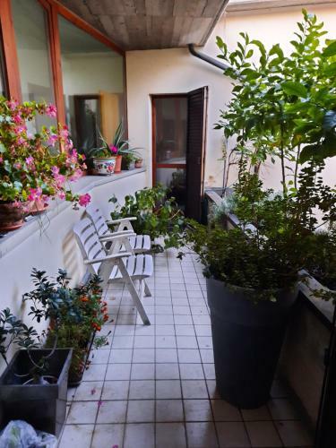 B&B Del Vicolo