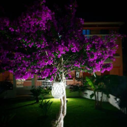 Apartamento Casa La Costa