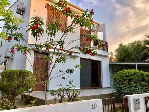 Rotelia Gardens Luxury Beach Villa
