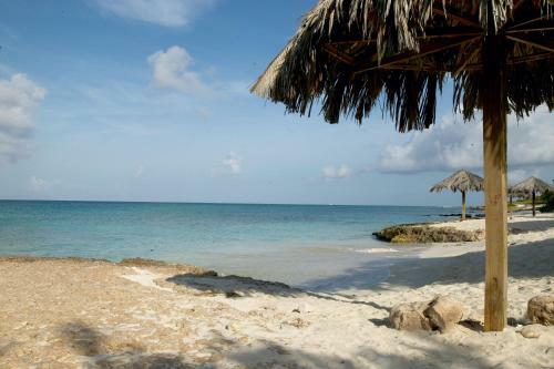 Villa Bougainvillea Aruba, The Tango Suite