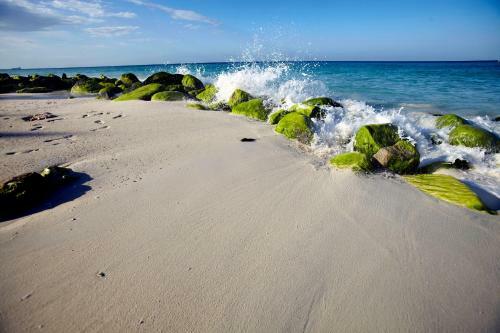 Villa Bougainvillea Aruba, The Tango Suite