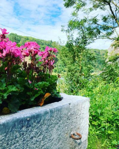 La Tani�re Dinant