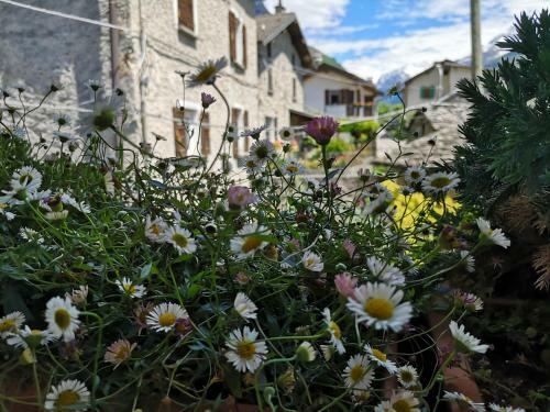 Apartamento San Carlo