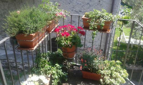 Apartamento San Carlo