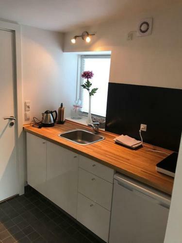 Apartamento Anneks Med Egen Indgang N�r Roskilde