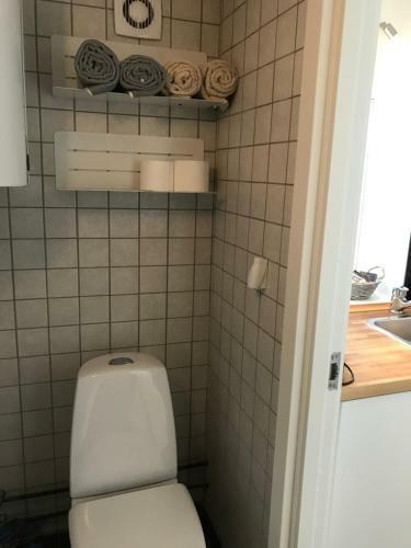 Apartamento Anneks Med Egen Indgang N�r Roskilde