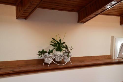 Apartamento Appartamento Edoardo Centro Storico Cervia