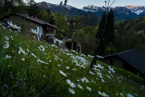 Bed And Breakfast Iduevagamondi