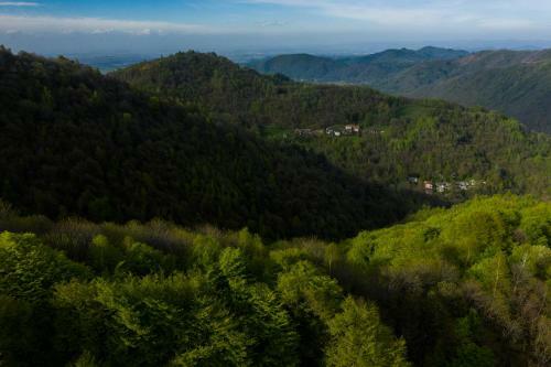 Bed And Breakfast Iduevagamondi