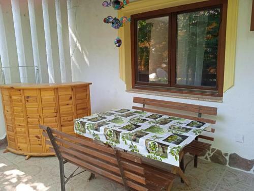 P�tty�s Fanni Vend�gh�z