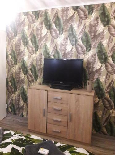 P�tty�s Fanni Vend�gh�z