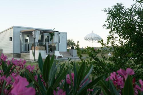 Sunny Cottage - Tiny Holiday Home