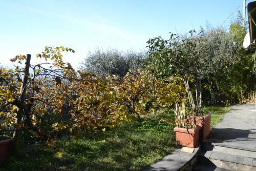 Chesapeake House Chiavari