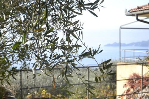 Chesapeake House Chiavari