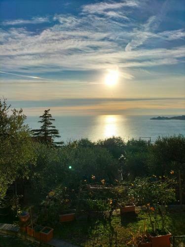 Chesapeake House Chiavari