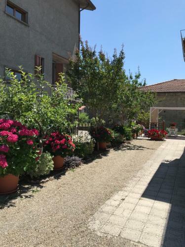 Casa Ortensia