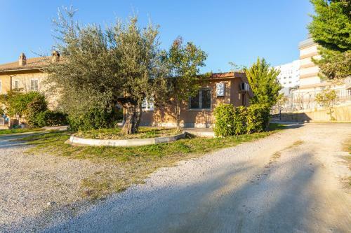 Guest House L'antico Ulivo